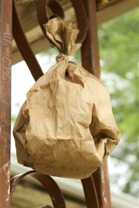 fake paper bag wasp nest|paper bag wasp deterrent.